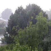 ヒメ日記 2026/02/25 11:21 投稿 あかね エンジェルシリカ