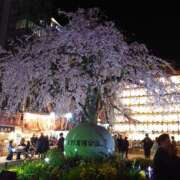 ヒメ日記 2026/03/31 20:48 投稿 あかね エンジェルシリカ