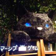 ヒメ日記 2026/04/23 11:51 投稿 あかね エンジェルシリカ