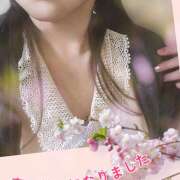 ヒメ日記 2025/04/12 10:13 投稿 みらい エンジェルシリカ