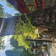 ヒメ日記 2025/12/20 23:35 投稿 みらい エンジェルシリカ