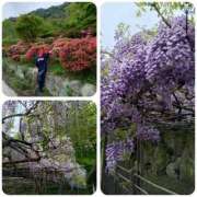 ヒメ日記 2025/04/21 09:59 投稿 れん 人妻の品格(福岡)