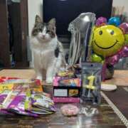 ヒメ日記 2025/05/11 22:18 投稿 れん 人妻の品格(福岡)