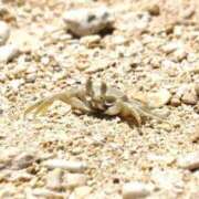 ヒメ日記 2025/05/23 20:31 投稿 れん 人妻の品格(福岡)