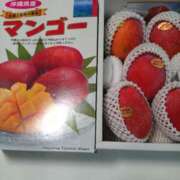 ヒメ日記 2025/08/12 20:23 投稿 れん 人妻の品格(福岡)