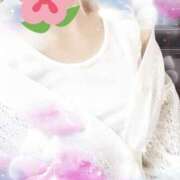 ヒメ日記 2025/08/16 07:05 投稿 れん 人妻の品格(福岡)