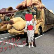 ヒメ日記 2025/10/17 12:04 投稿 れん 人妻の品格(福岡)