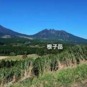 ヒメ日記 2025/10/31 12:22 投稿 れん 人妻の品格(福岡)