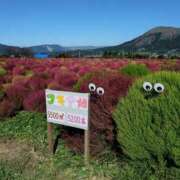 ヒメ日記 2025/10/31 12:25 投稿 れん 人妻の品格(福岡)