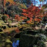 ヒメ日記 2025/11/16 14:54 投稿 れん 人妻の品格(福岡)