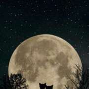 ヒメ日記 2026/01/31 18:41 投稿 れん 人妻の品格(福岡)