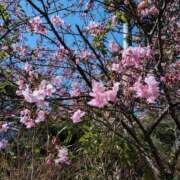 ヒメ日記 2026/02/02 18:19 投稿 れん 人妻の品格(福岡)