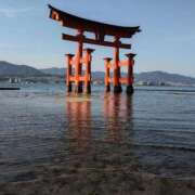 ヒメ日記 2026/03/02 06:46 投稿 れん 人妻の品格(福岡)