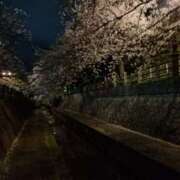 ヒメ日記 2026/04/07 19:58 投稿 れん 人妻の品格(福岡)