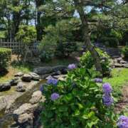 ヒメ日記 2026/06/11 13:59 投稿 れん 人妻の品格(福岡)