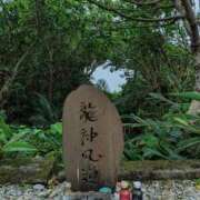 ヒメ日記 2026/07/12 22:11 投稿 れん 人妻の品格(福岡)