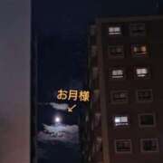 ヒメ日記 2026/07/29 14:19 投稿 れん 人妻の品格(福岡)