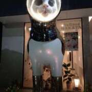 ヒメ日記 2025/07/22 12:05 投稿 あずさ 人妻の品格(福岡)