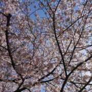 ヒメ日記 2026/04/13 21:31 投稿 あずさ 人妻の品格(福岡)