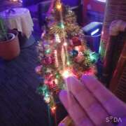 ヒメ日記 2024/12/25 04:17 投稿 きょうこ 人妻の品格(福岡)