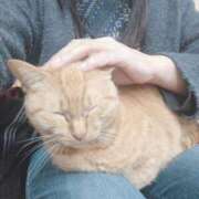 ヒメ日記 2025/10/24 22:22 投稿 きょうこ 人妻の品格(福岡)