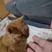 ヒメ日記 2025/10/31 20:25 投稿 きょうこ 人妻の品格(福岡)