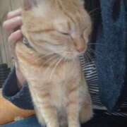 ヒメ日記 2025/11/29 21:48 投稿 きょうこ 人妻の品格(福岡)