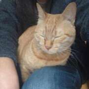 ヒメ日記 2025/11/30 21:26 投稿 きょうこ 人妻の品格(福岡)