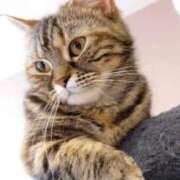 ヒメ日記 2025/12/28 22:41 投稿 きょうこ 人妻の品格(福岡)