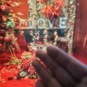 ヒメ日記 2026/01/26 03:21 投稿 きょうこ 人妻の品格(福岡)