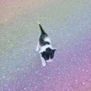 ヒメ日記 2024/12/10 10:17 投稿 みさき 人妻の品格(福岡)