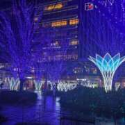 ヒメ日記 2024/12/24 19:27 投稿 みさき 人妻の品格(福岡)