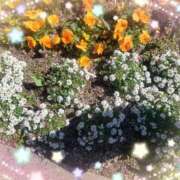 ヒメ日記 2024/12/30 10:44 投稿 みさき 人妻の品格(福岡)