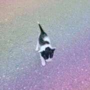 ヒメ日記 2024/12/31 12:30 投稿 みさき 人妻の品格(福岡)