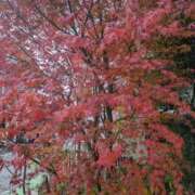 ヒメ日記 2025/01/02 14:25 投稿 みさき 人妻の品格(福岡)