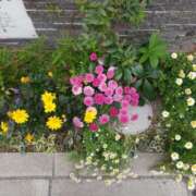 ヒメ日記 2025/02/01 22:00 投稿 みさき 人妻の品格(福岡)