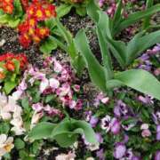 ヒメ日記 2025/02/03 21:58 投稿 みさき 人妻の品格(福岡)