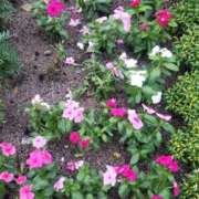 ヒメ日記 2025/02/17 12:24 投稿 みさき 人妻の品格(福岡)