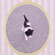 ヒメ日記 2025/02/25 12:41 投稿 みさき 人妻の品格(福岡)