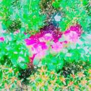 ヒメ日記 2025/03/14 10:52 投稿 みさき 人妻の品格(福岡)