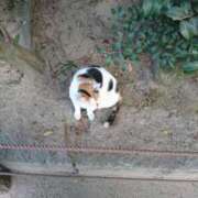 ヒメ日記 2025/03/22 21:33 投稿 みさき 人妻の品格(福岡)