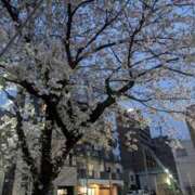 ヒメ日記 2025/03/29 19:18 投稿 みさき 人妻の品格(福岡)