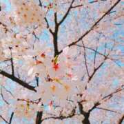 ヒメ日記 2025/04/05 23:20 投稿 みさき 人妻の品格(福岡)