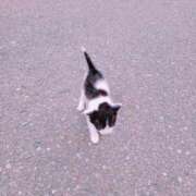 ヒメ日記 2025/04/23 10:54 投稿 みさき 人妻の品格(福岡)