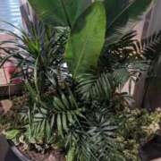 ヒメ日記 2025/05/11 14:19 投稿 みさき 人妻の品格(福岡)