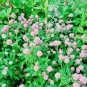 ヒメ日記 2025/05/28 16:02 投稿 みさき 人妻の品格(福岡)