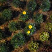 ヒメ日記 2025/08/23 20:25 投稿 みさき 人妻の品格(福岡)