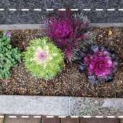 ヒメ日記 2025/09/08 08:15 投稿 みさき 人妻の品格(福岡)