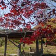 ヒメ日記 2025/10/11 16:55 投稿 みさき 人妻の品格(福岡)