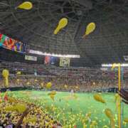 ヒメ日記 2025/10/25 20:49 投稿 みさき 人妻の品格(福岡)